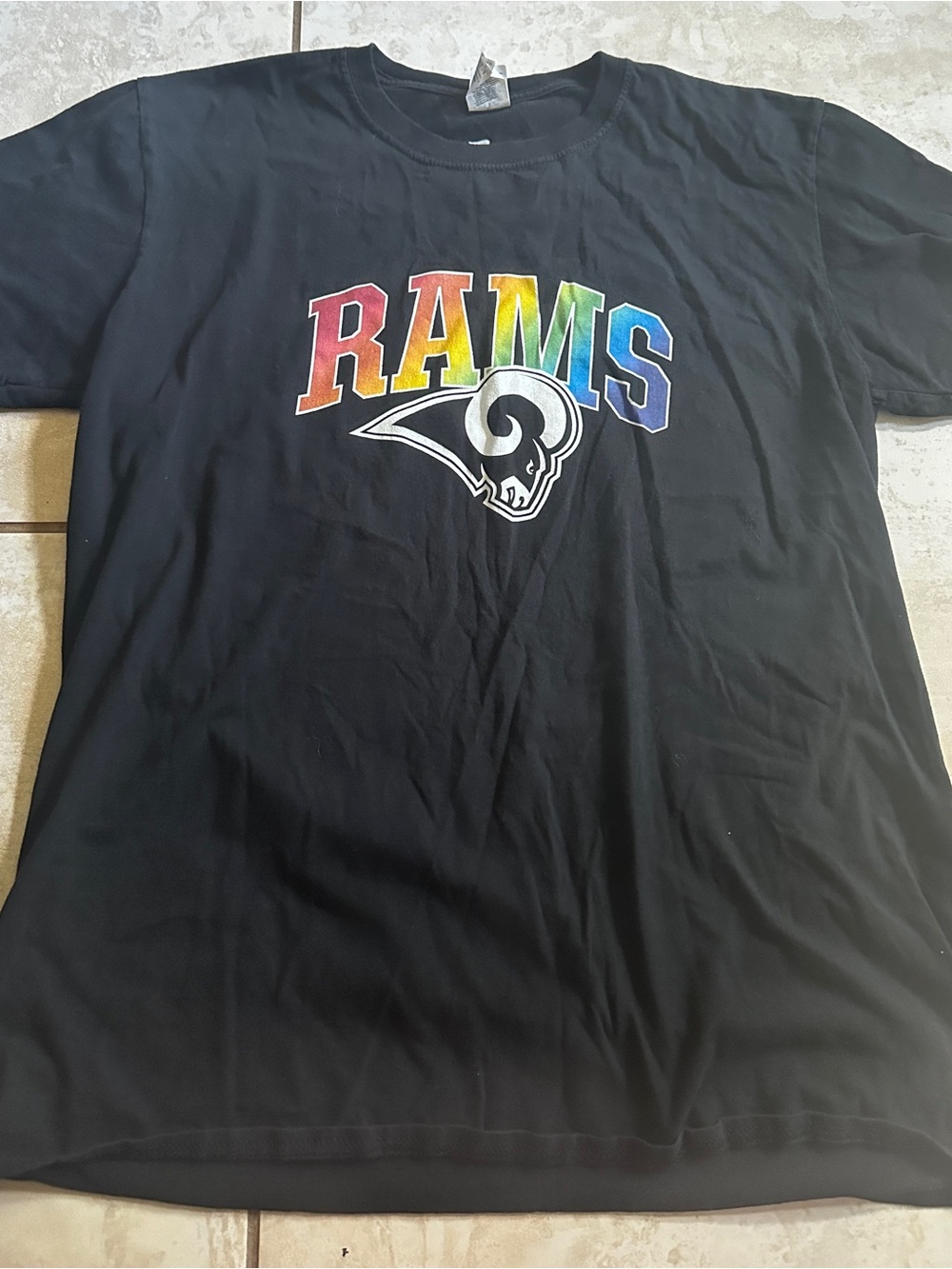 Gildan Black T-Shirt with Rainbow RAMS Logo